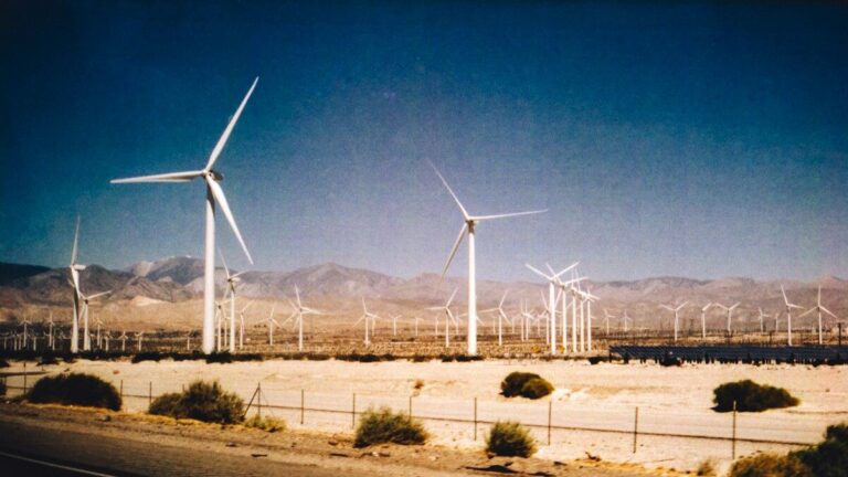Wind Farms Don’t Just Hurt The Environment And Boost China, They’re Ugly As Sin
