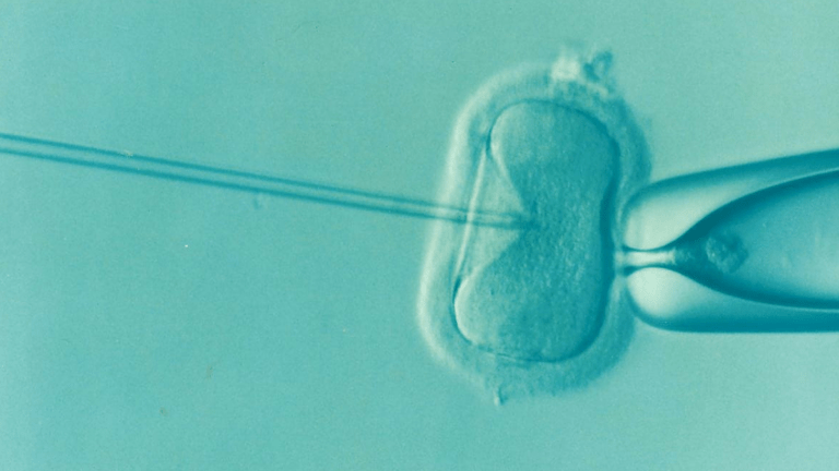 There’s Only One Way For The 1 Million Embryos Stuck In Frozen Orphanages To Make It Out Alive: Adoption